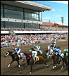 Canterbury Park