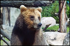 Minnesota Zoo